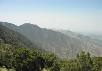 أبها والجنوب 5 أيام